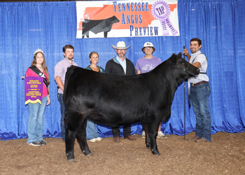 Grand Champion Owned Female